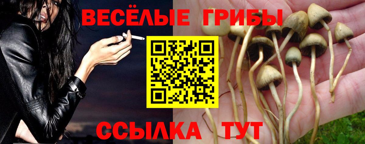 Галлюциногенные грибы GOLDEN TEACHER  Вход с VPN  Каспийск 